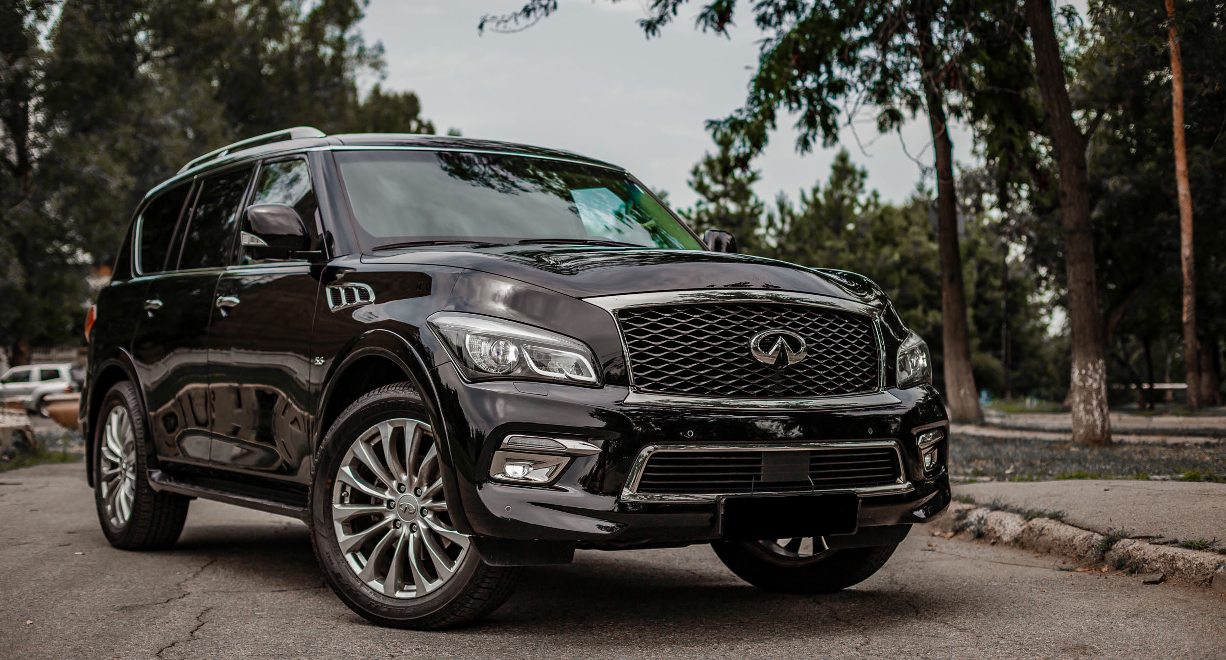 Infiniti QX80 14